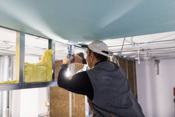 Best Insulation Installation Services in Ledbetter, KY